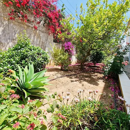 Villa Ninho Do Mocho *